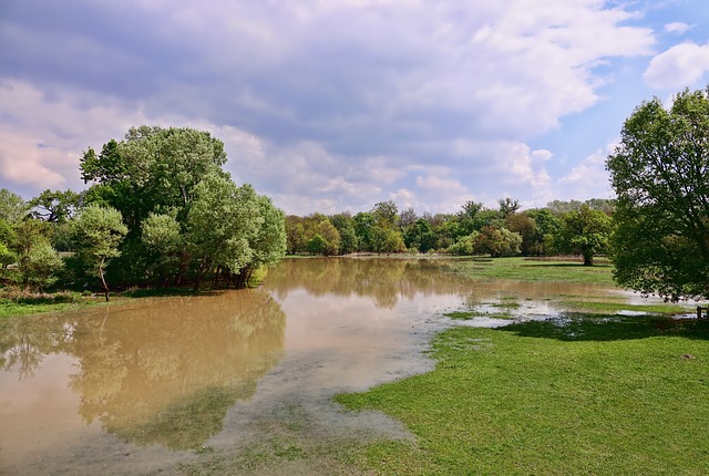 Tree control flooding