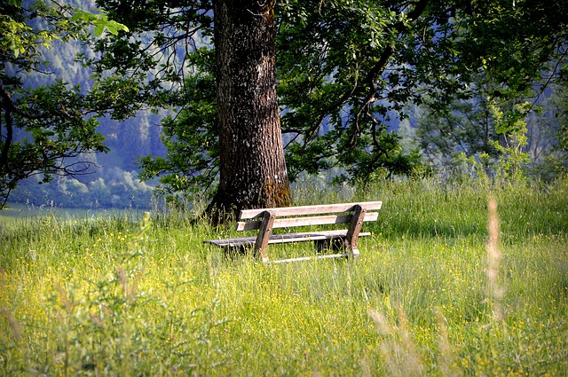 Wooden Bench